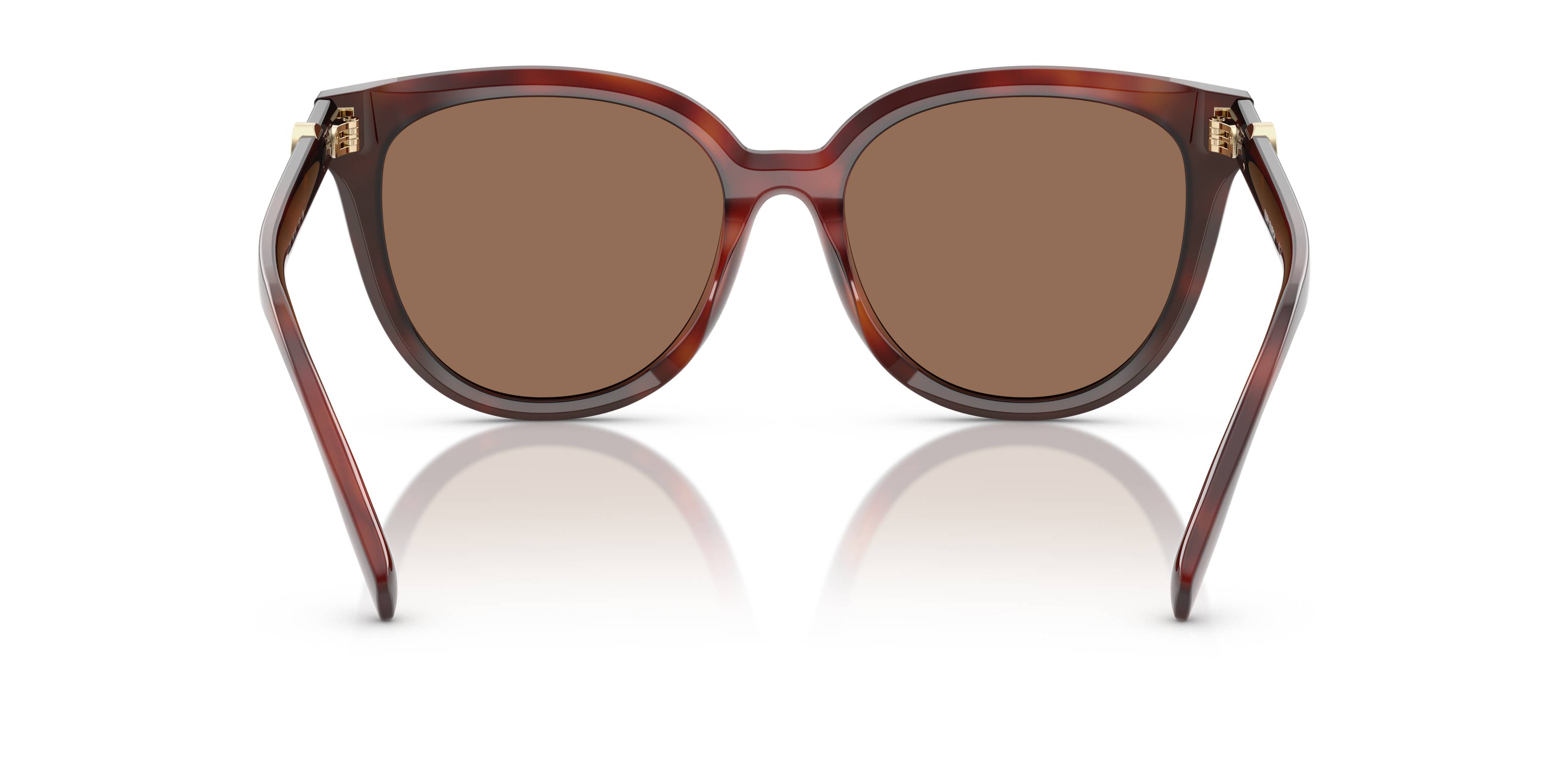 1048-tory-burch-ty7213d-gradient-tortoise-1.jpg