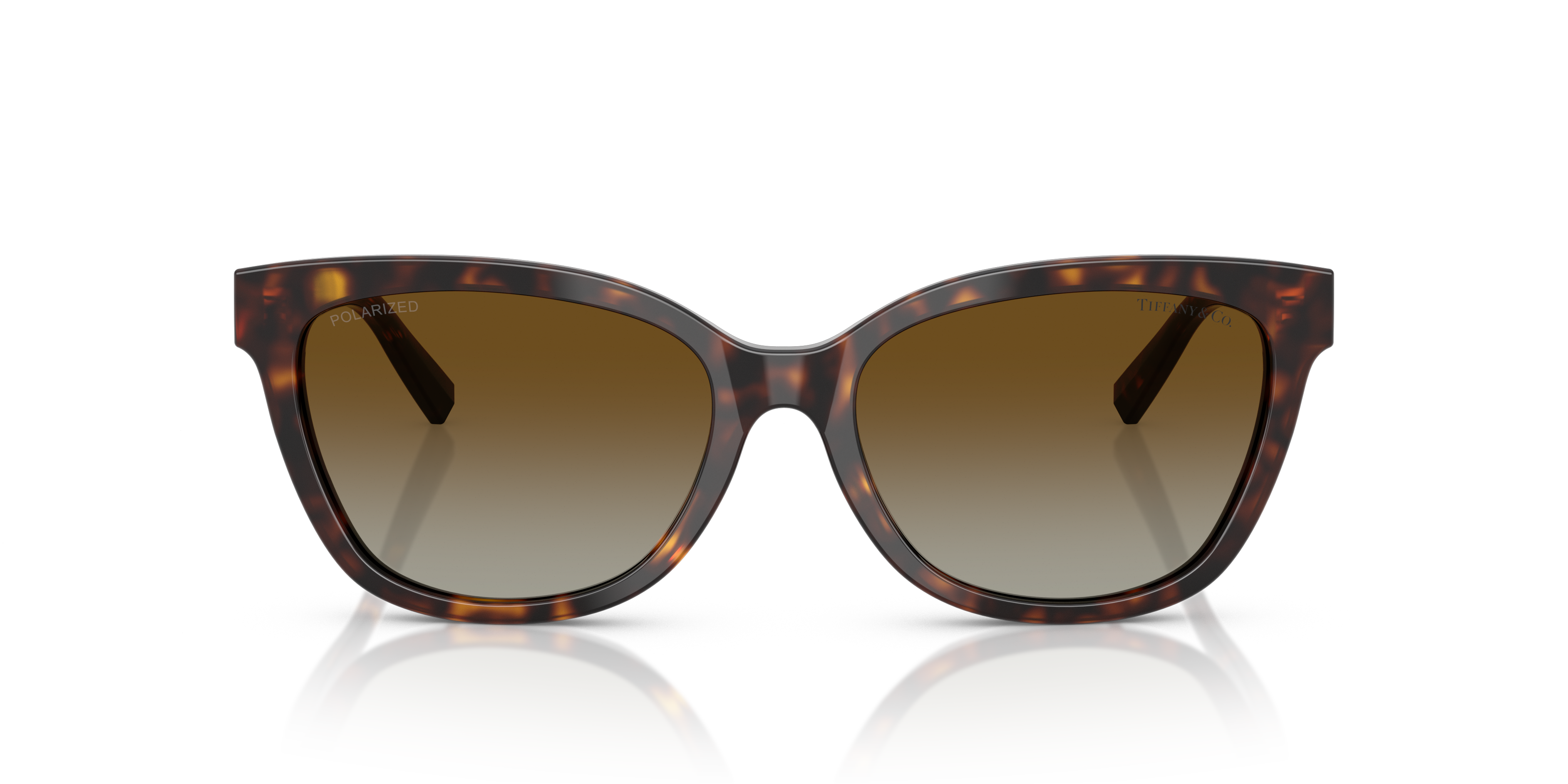 Tiffany - TF4237B - Havana