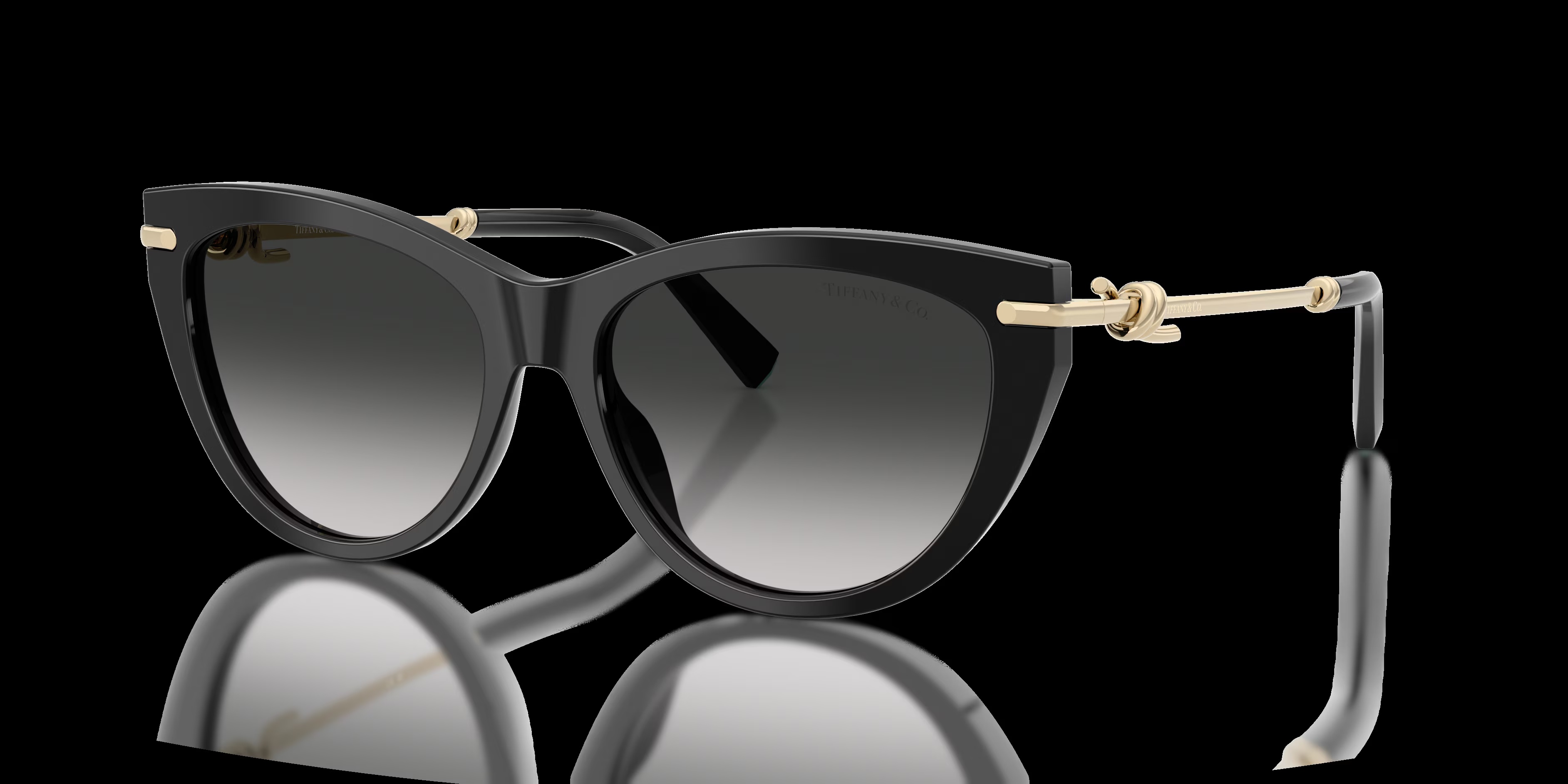 Tiffany - TF4253 - Black