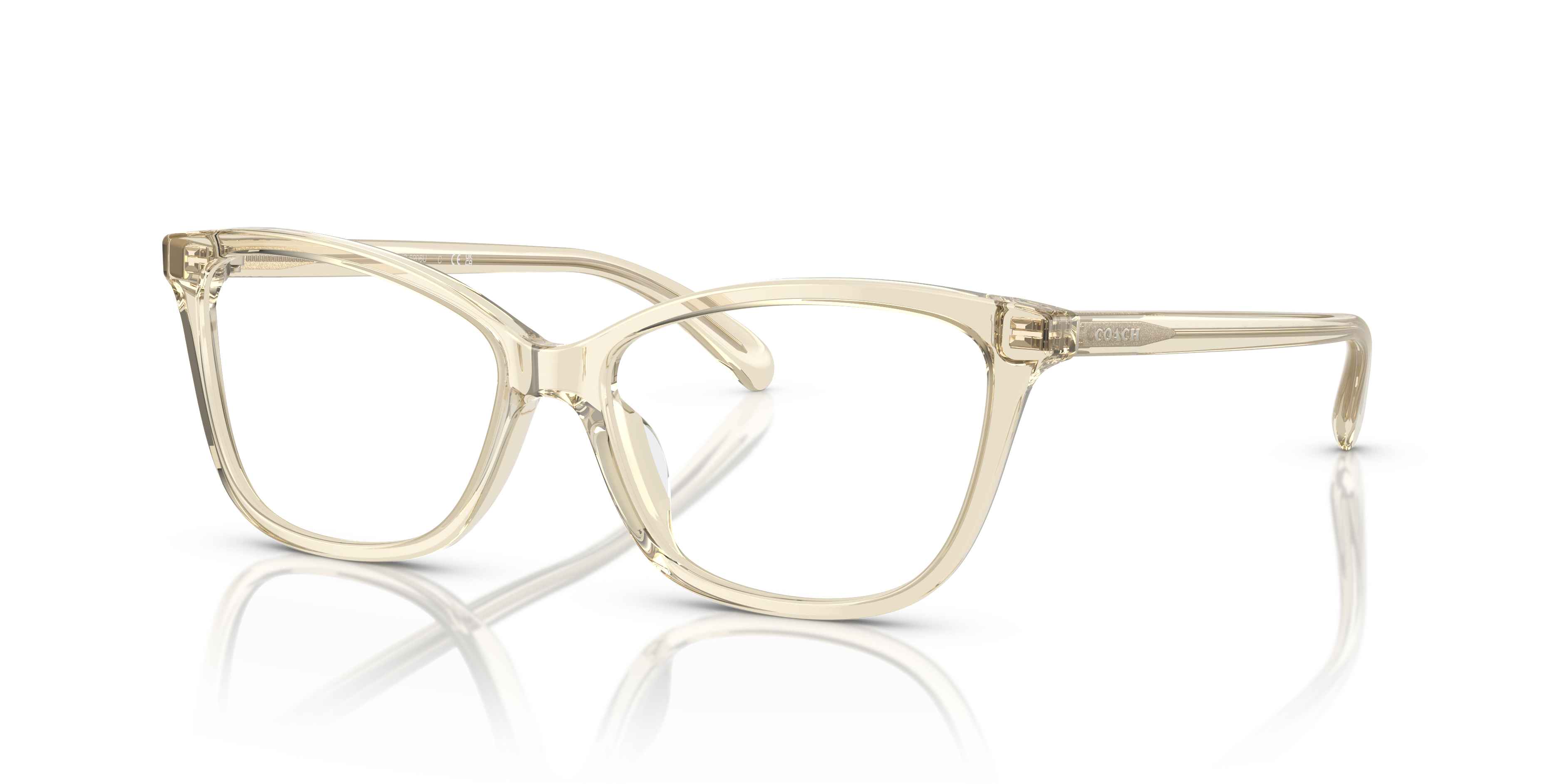 Coach - HC6206U - Transparent Fawn