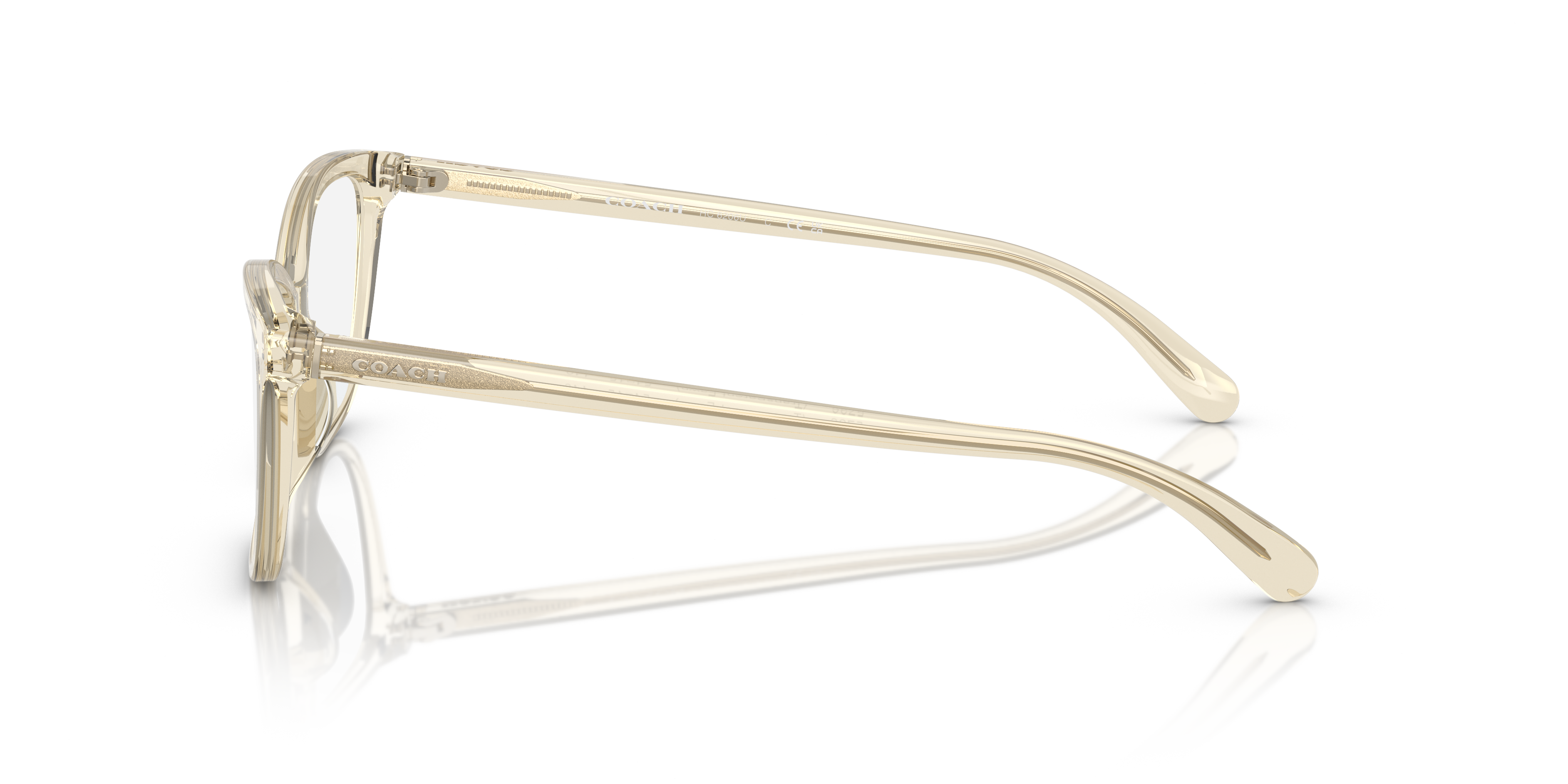 140-coach-hc6206u-transparent-fawn-1.png