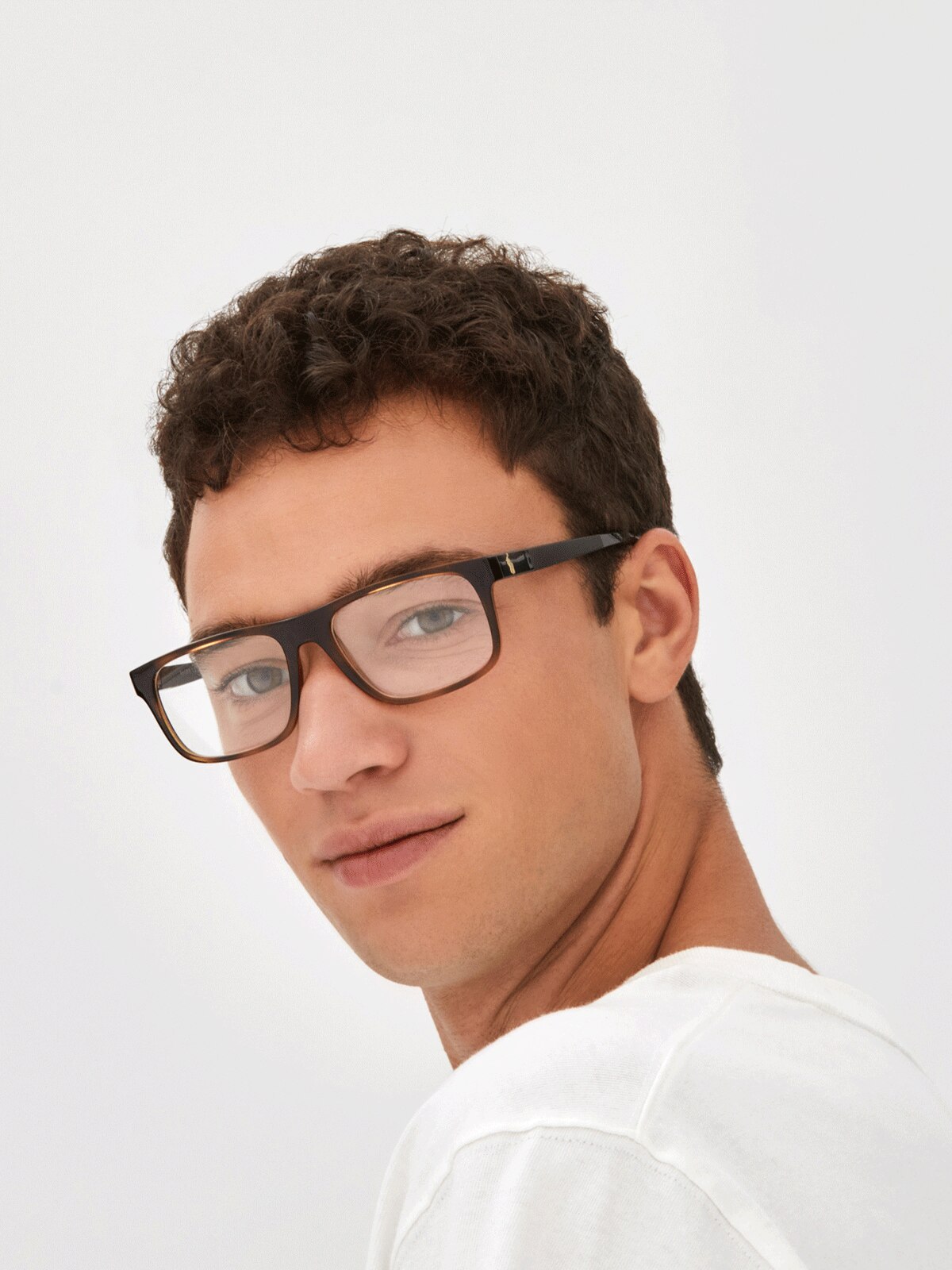 Polo Ralph Lauren - PH2218 - Shiny Dark Havana