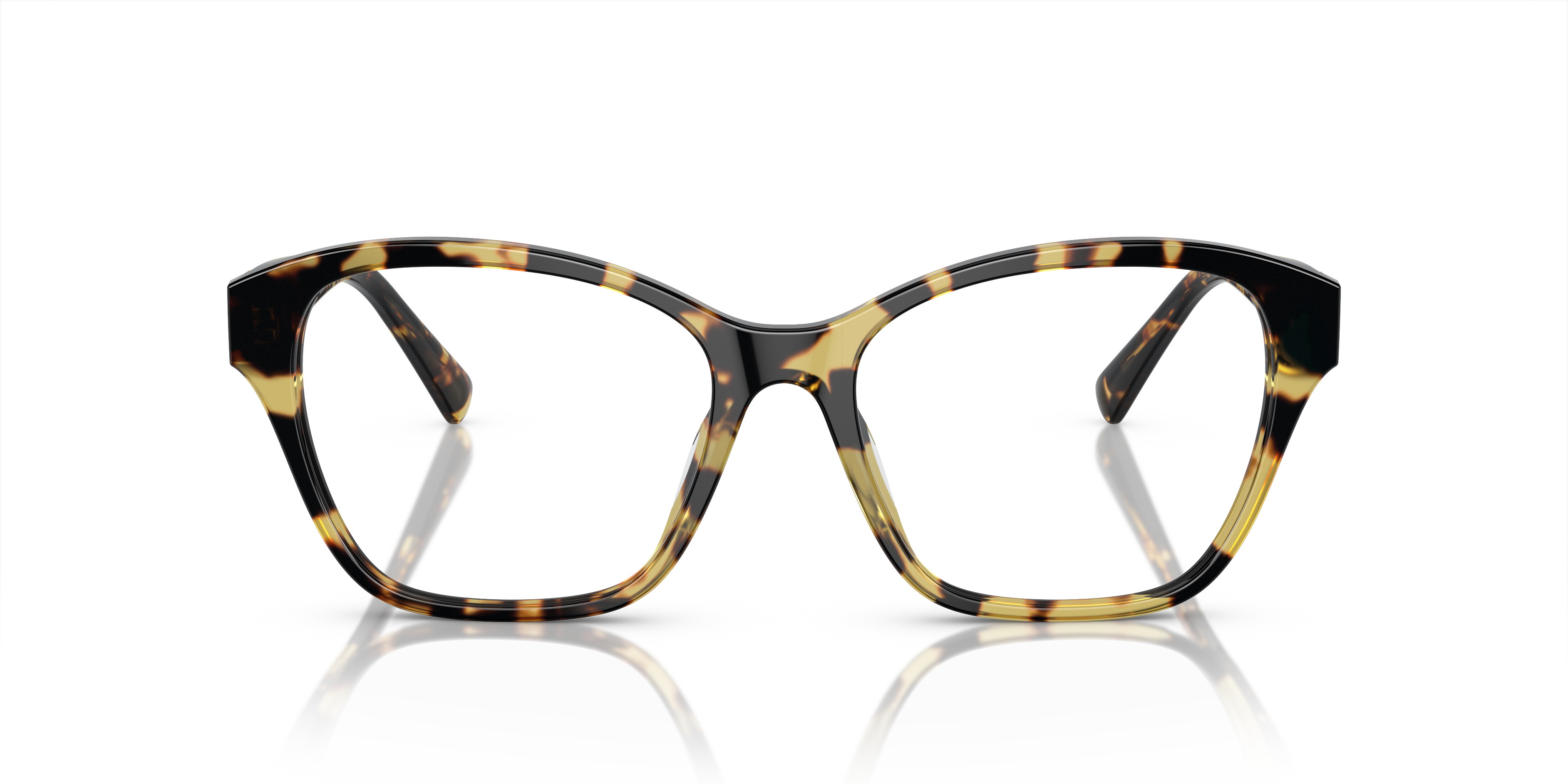 1892-ralph-lauren-rl6236u-havana-1.png