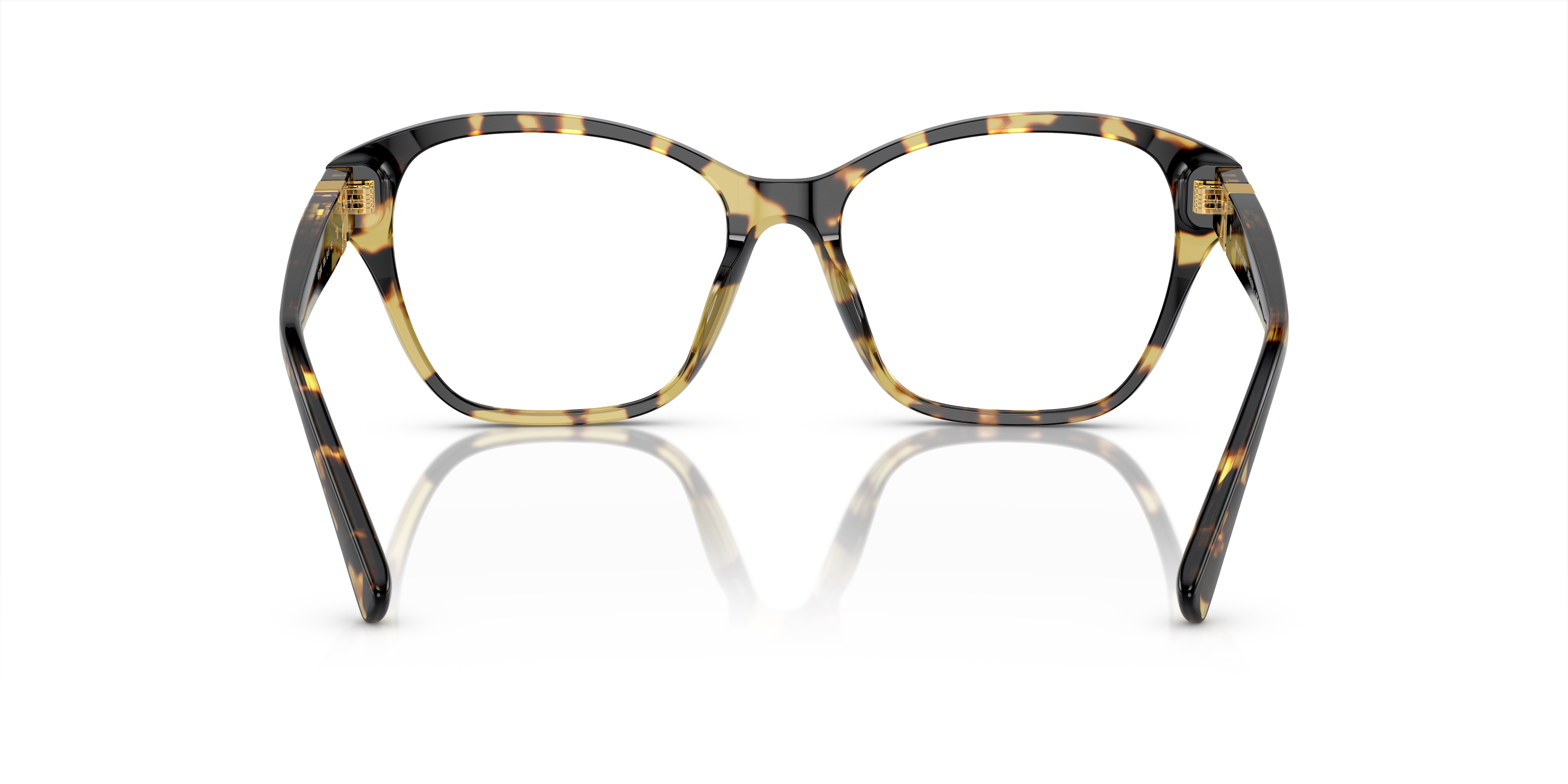 1892-ralph-lauren-rl6236u-havana-1.png