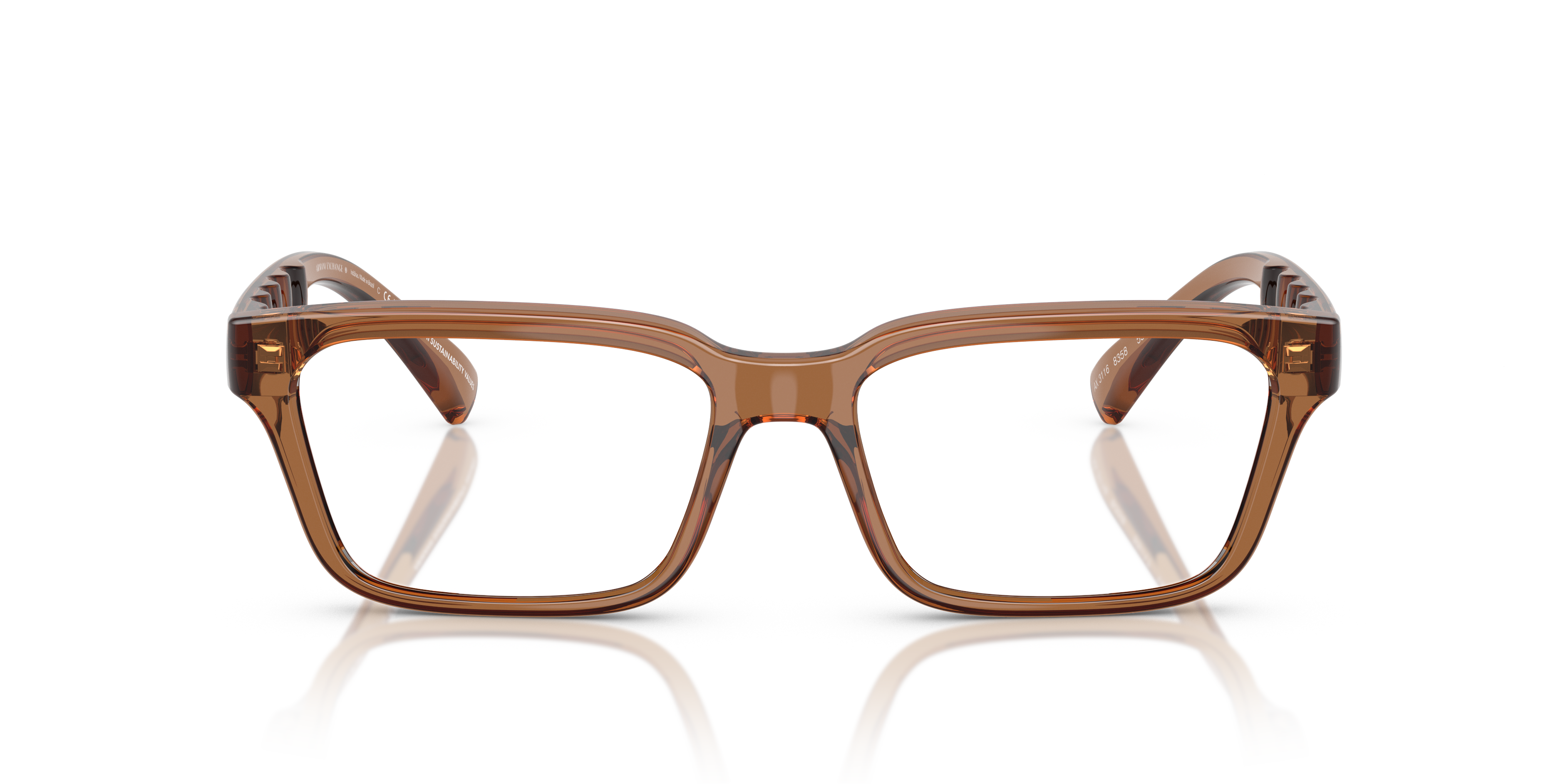 Armani Exchange - AX3116 - Shiny Transparent Brown
