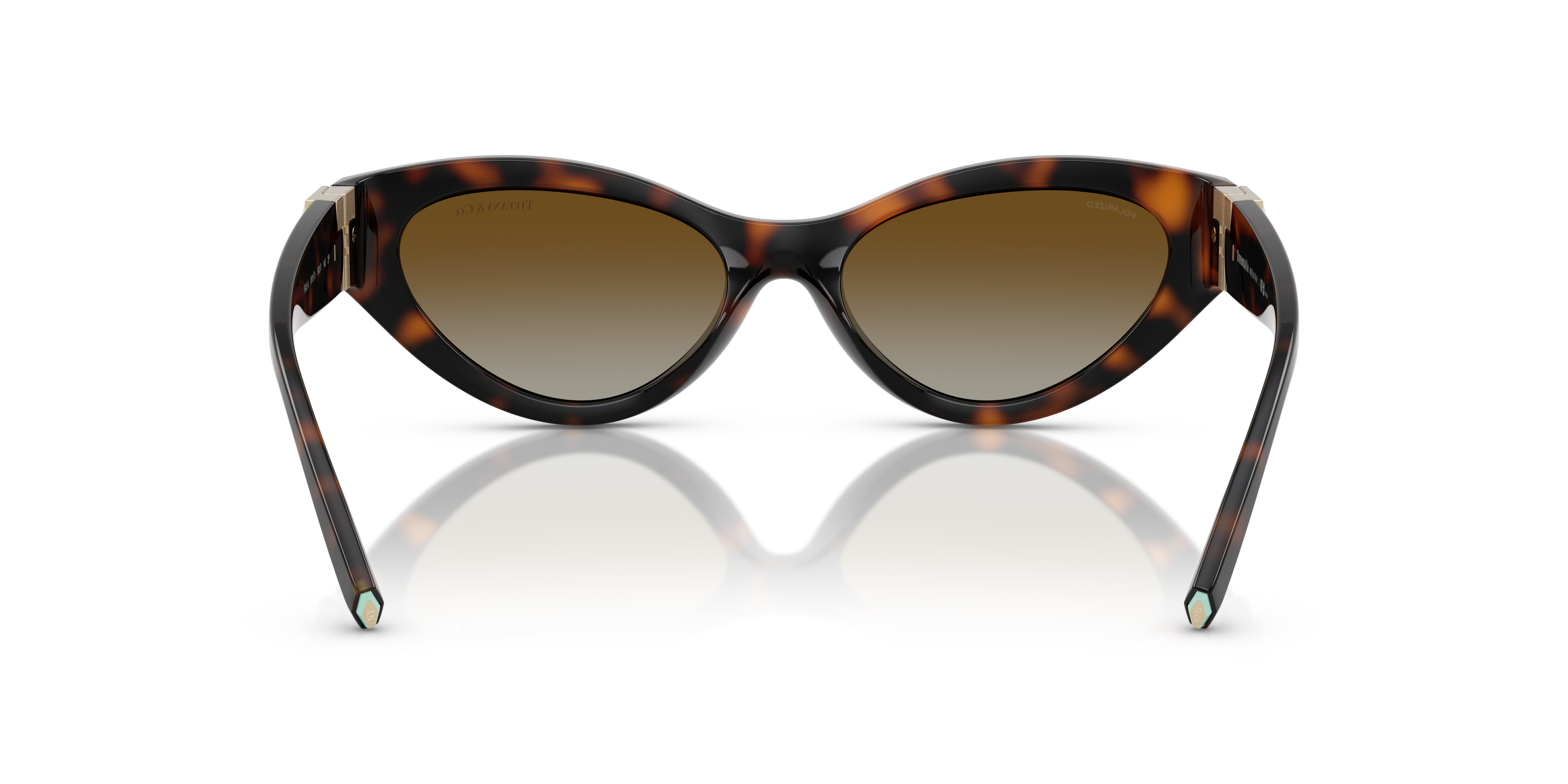 2423-tiffany-tf4225u-havana-1.png