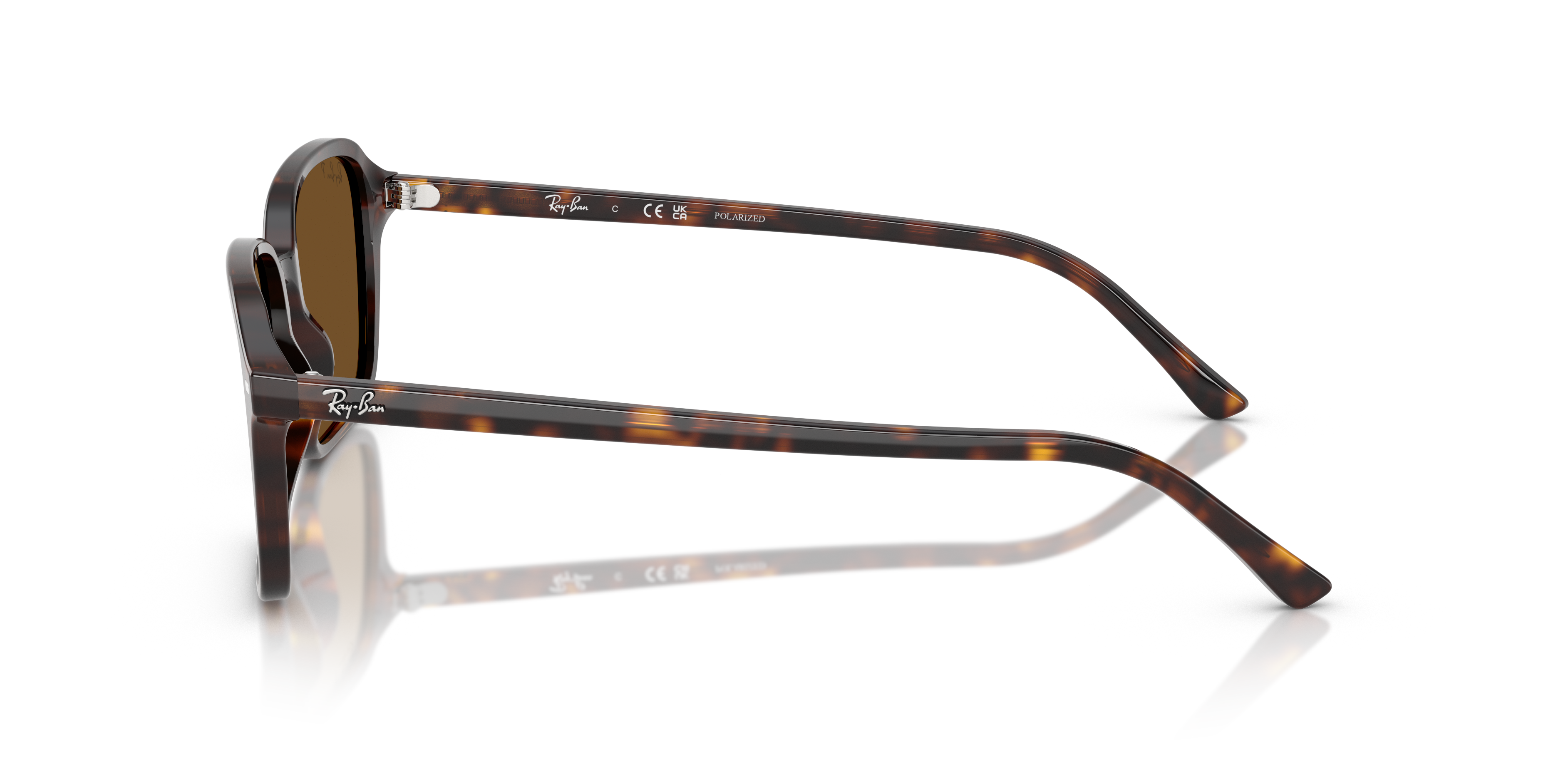 2496-ray-ban-rb2231-raimond-havana-1.png