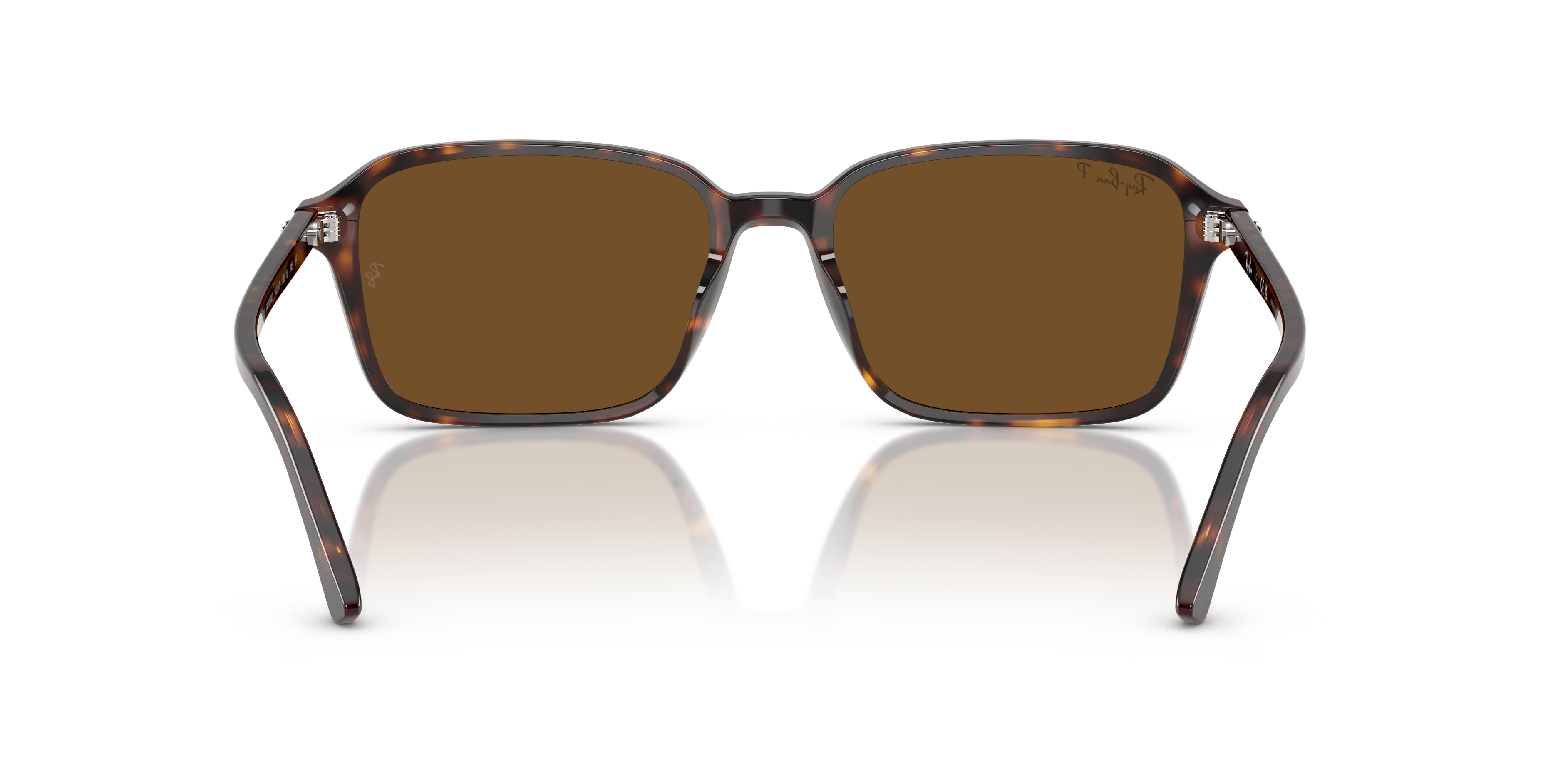2496-ray-ban-rb2231-raimond-havana-1.png