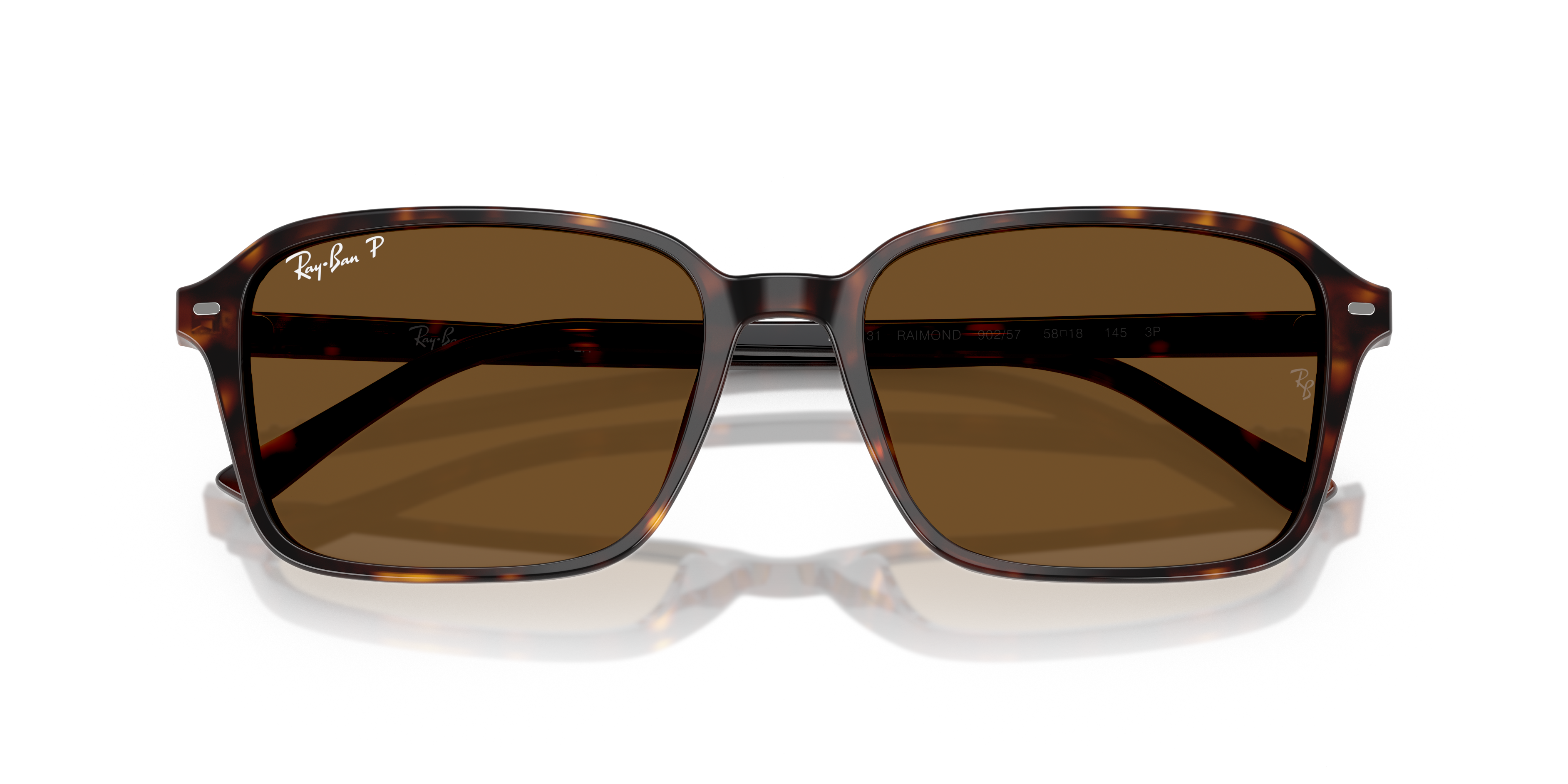 2496-ray-ban-rb2231-raimond-havana-1.png