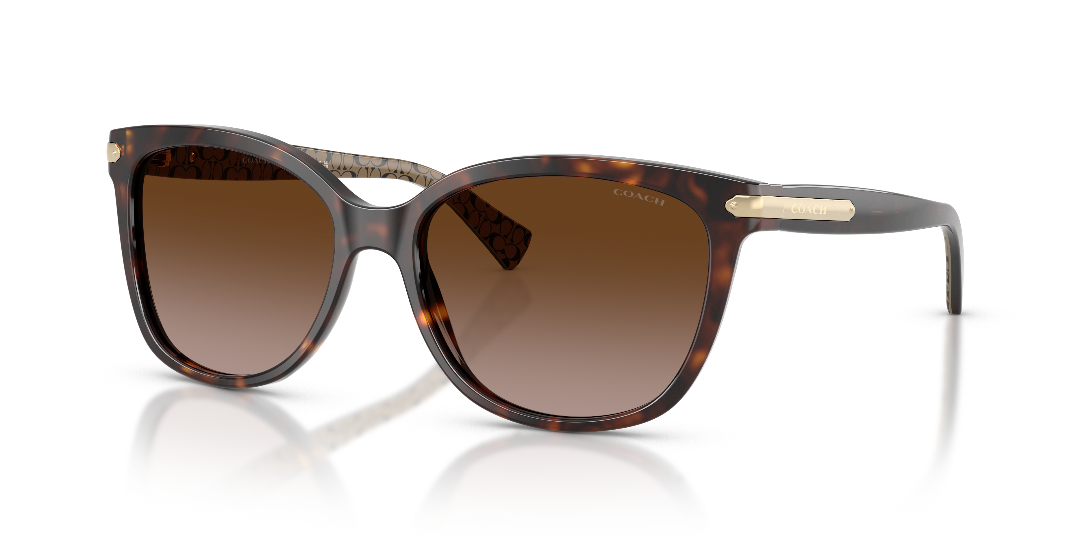 Coach - HC8132 L109 - Dark Tortoise