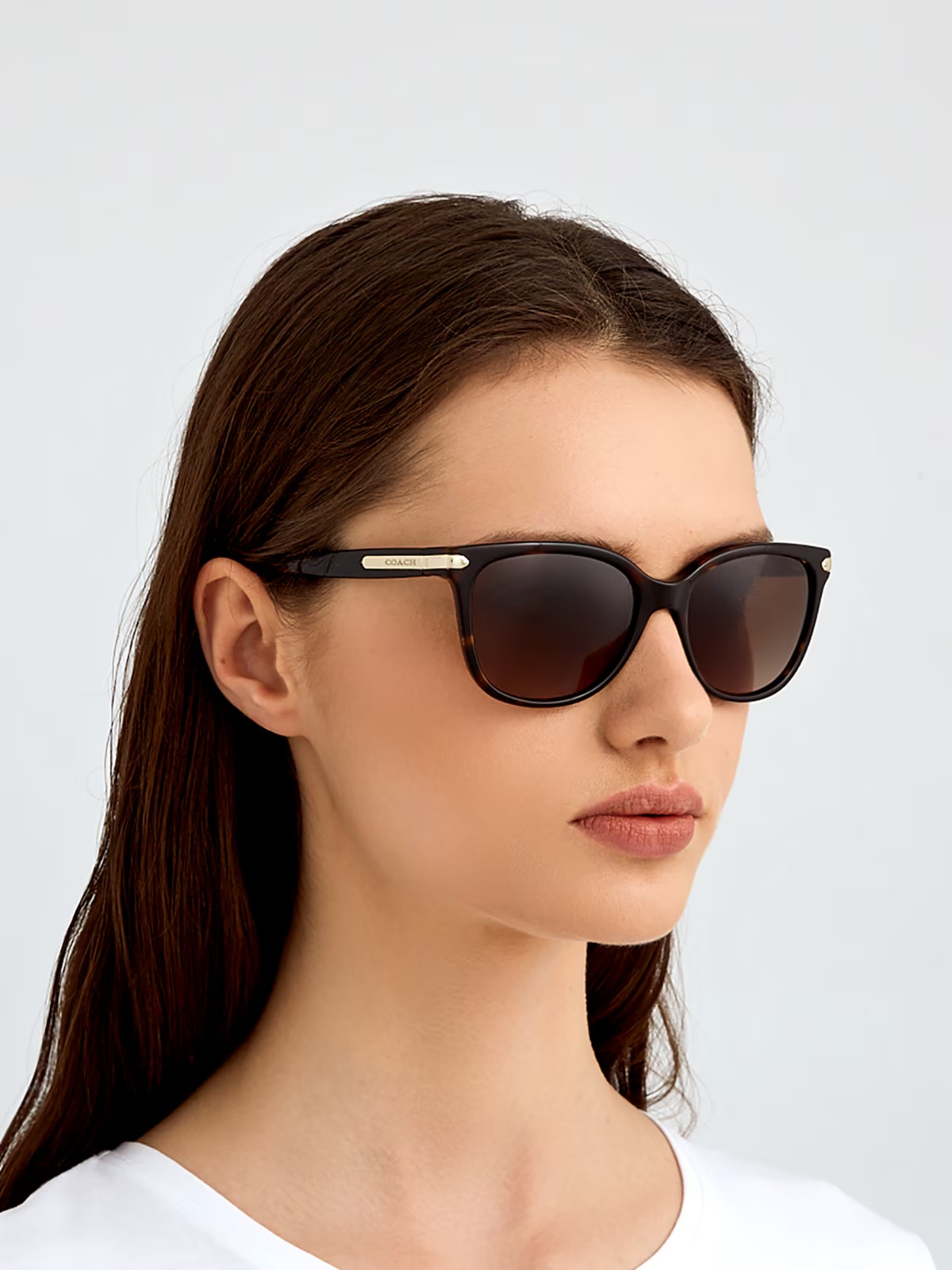 Coach - HC8132 L109 - Dark Tortoise