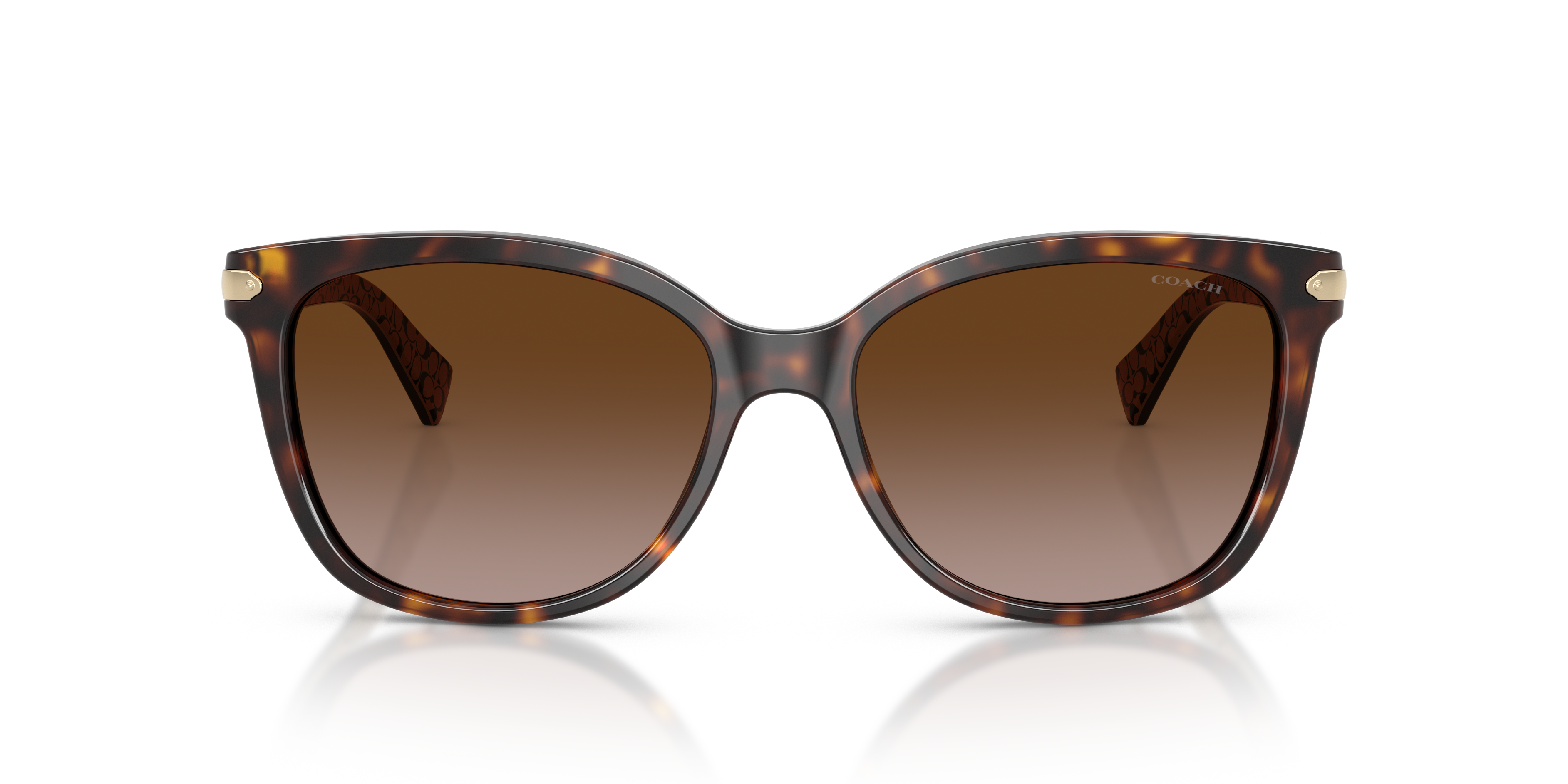 30-coach-hc8132-l109-dark-tortoise-1.png