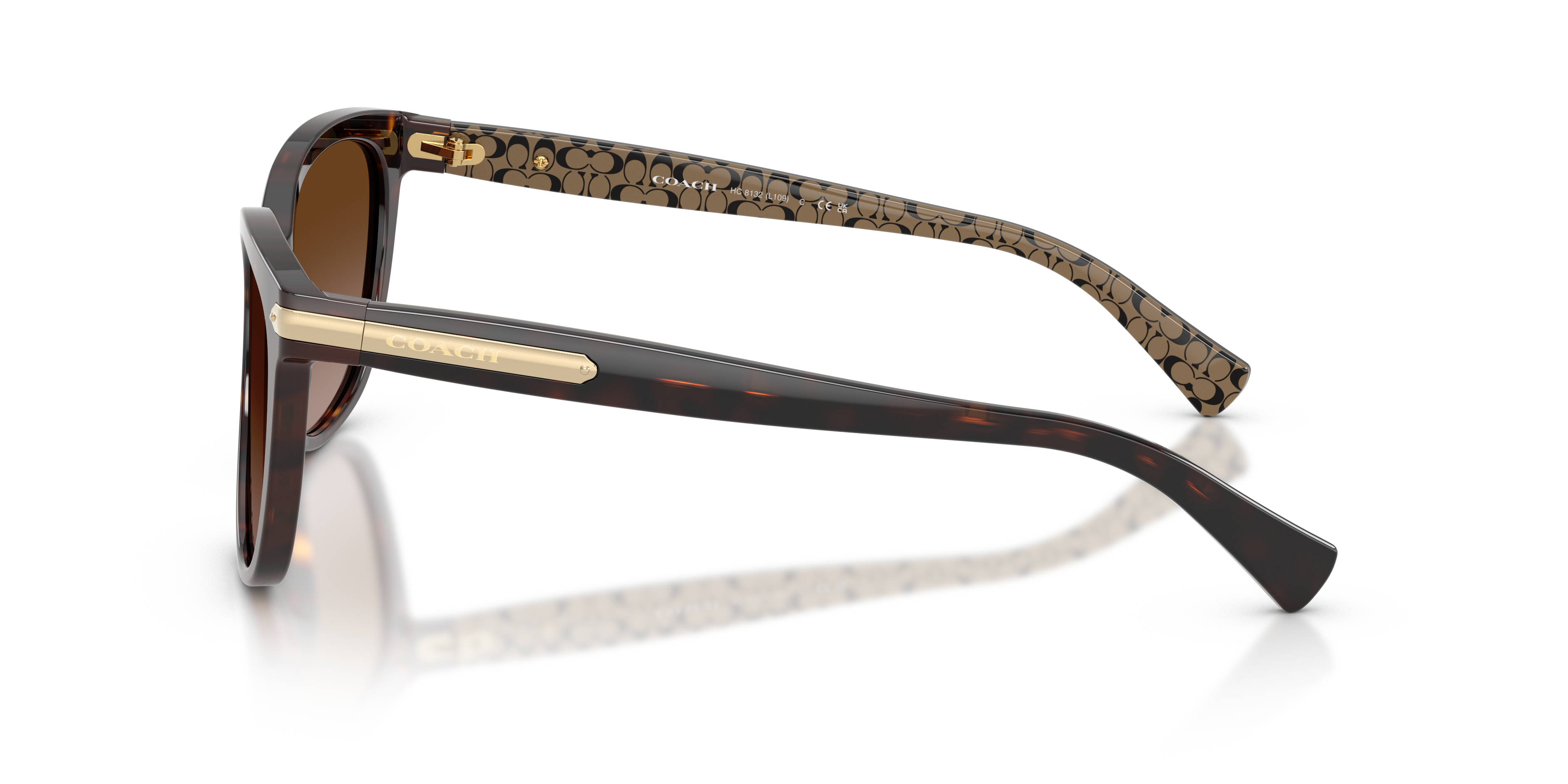 30-coach-hc8132-l109-dark-tortoise-1.png