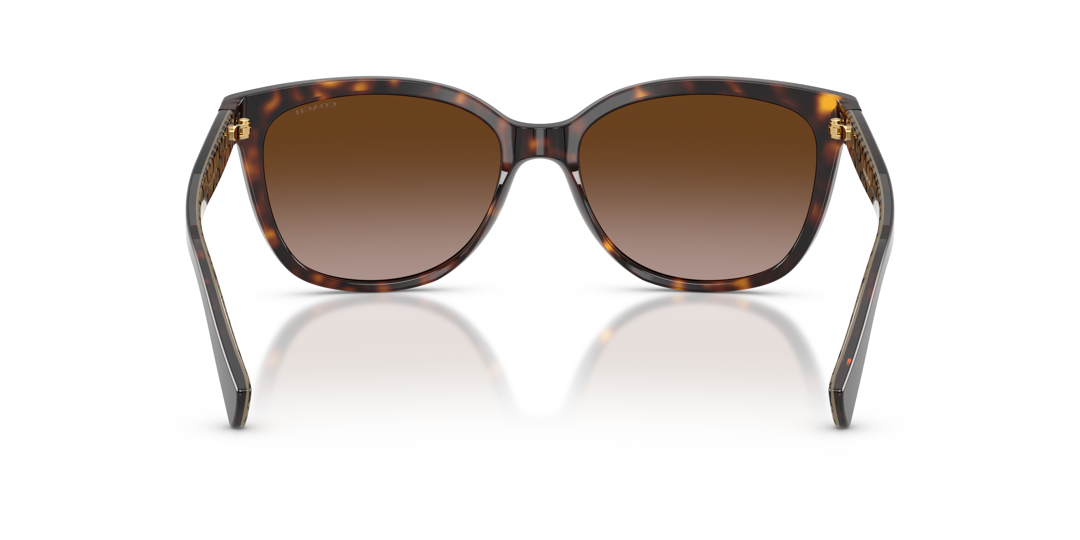 30-coach-hc8132-l109-dark-tortoise-1.png
