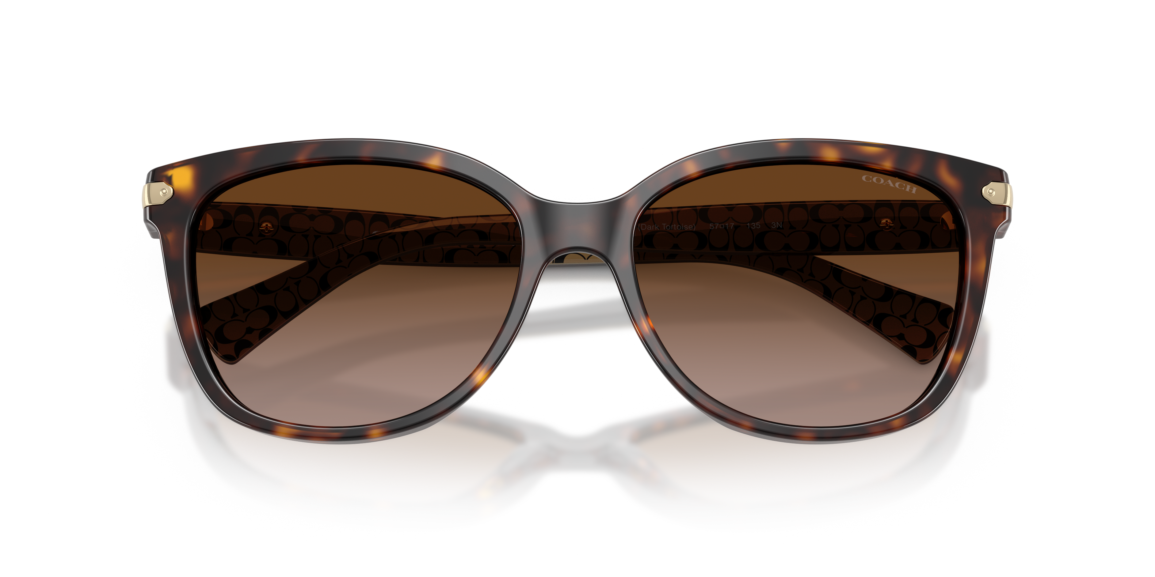 30-coach-hc8132-l109-dark-tortoise-1.png