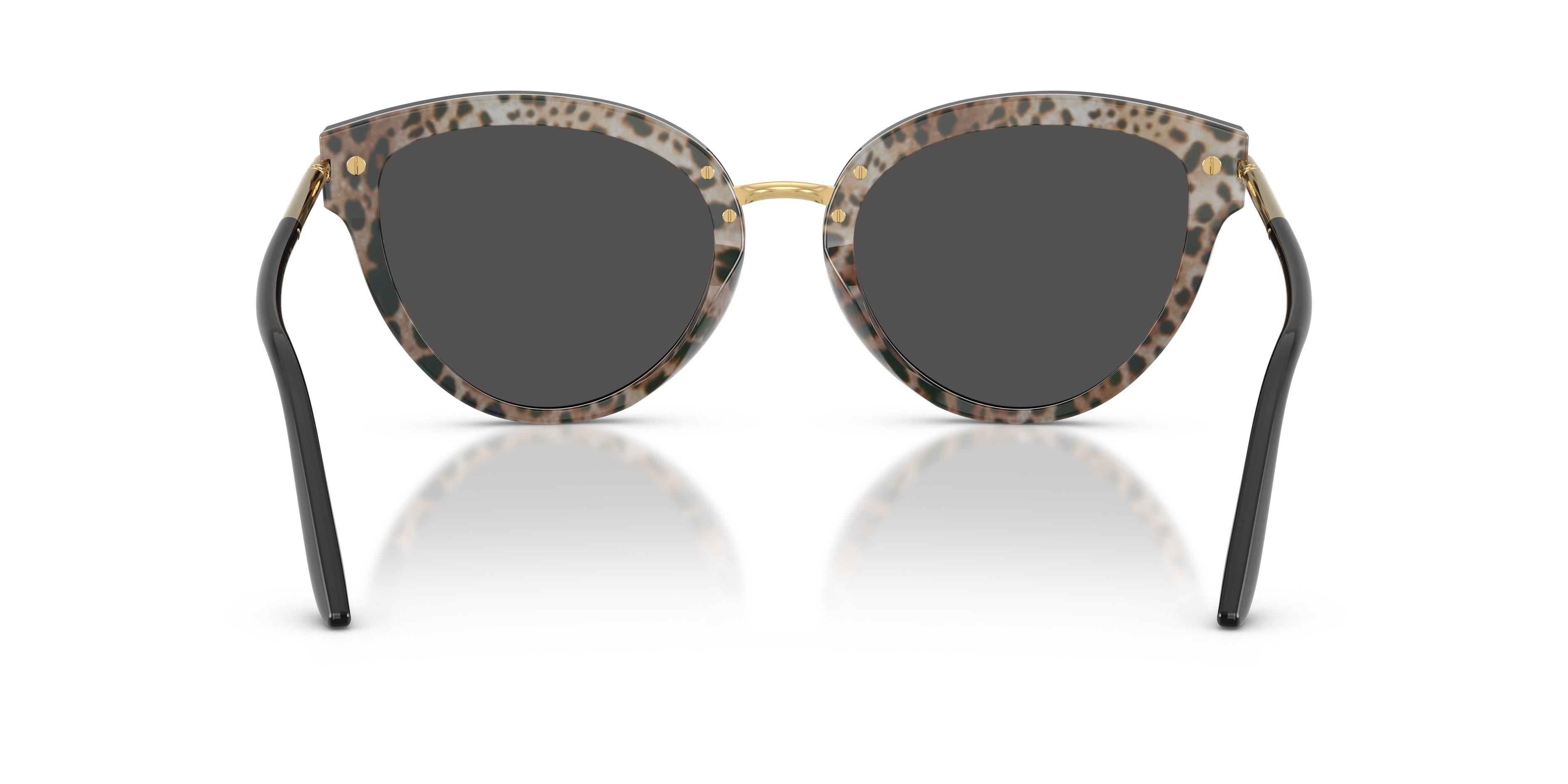 746-dolce-gabbana-dg4492-top-black-on-leo-1.png