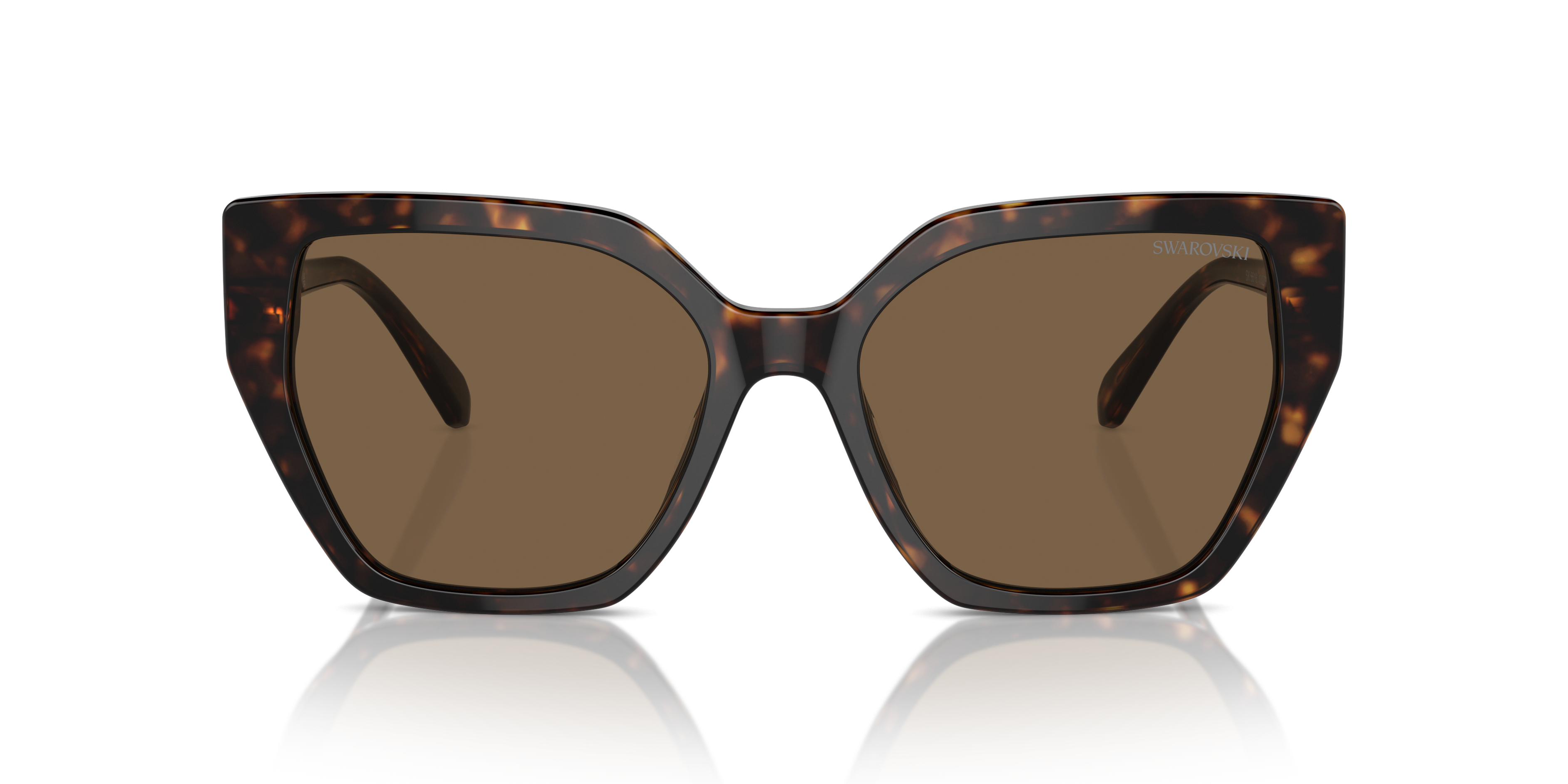 Swarovski - SK6016 - Dark Havana
