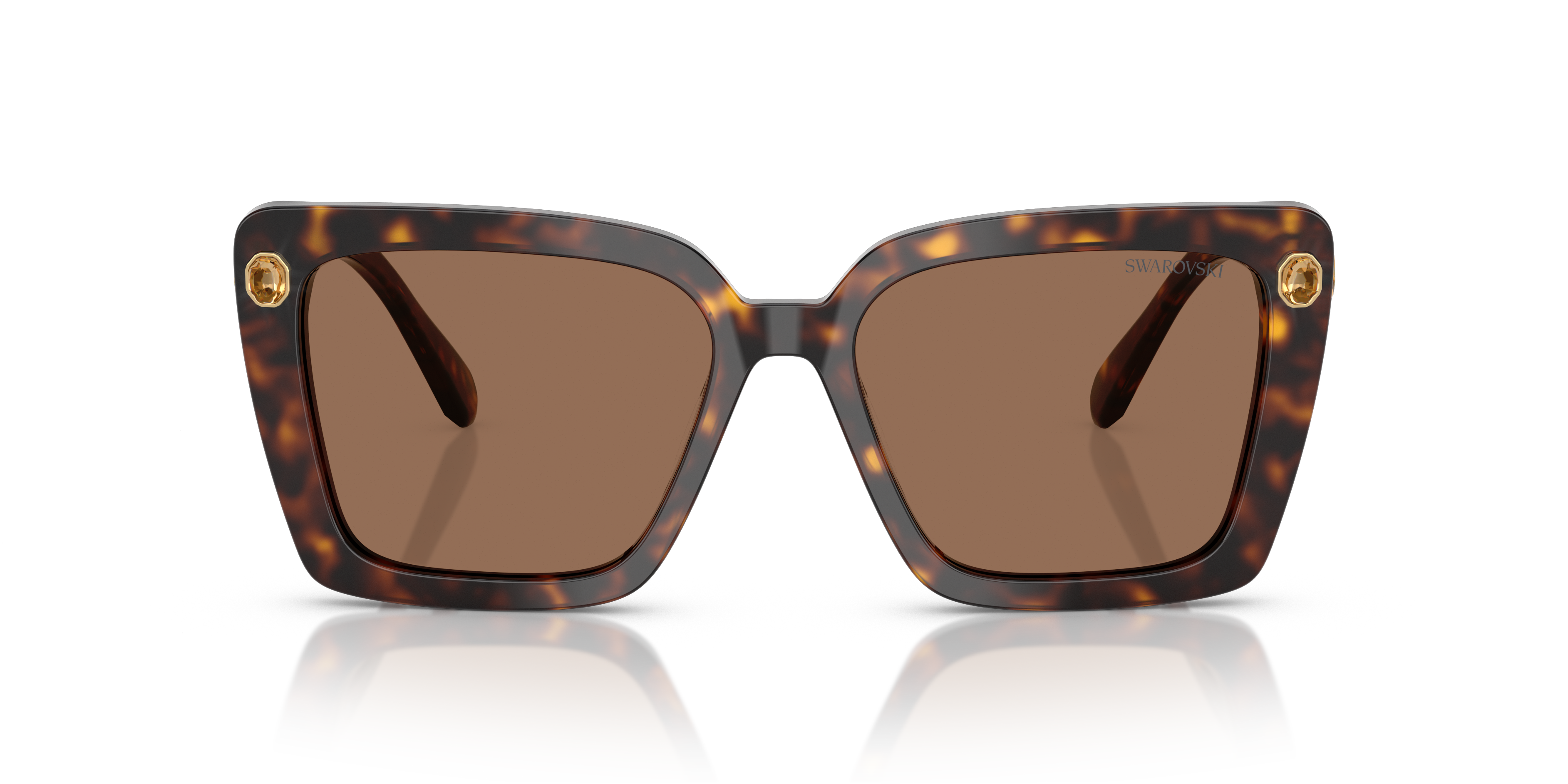 Swarovski - SK6032 - Havana