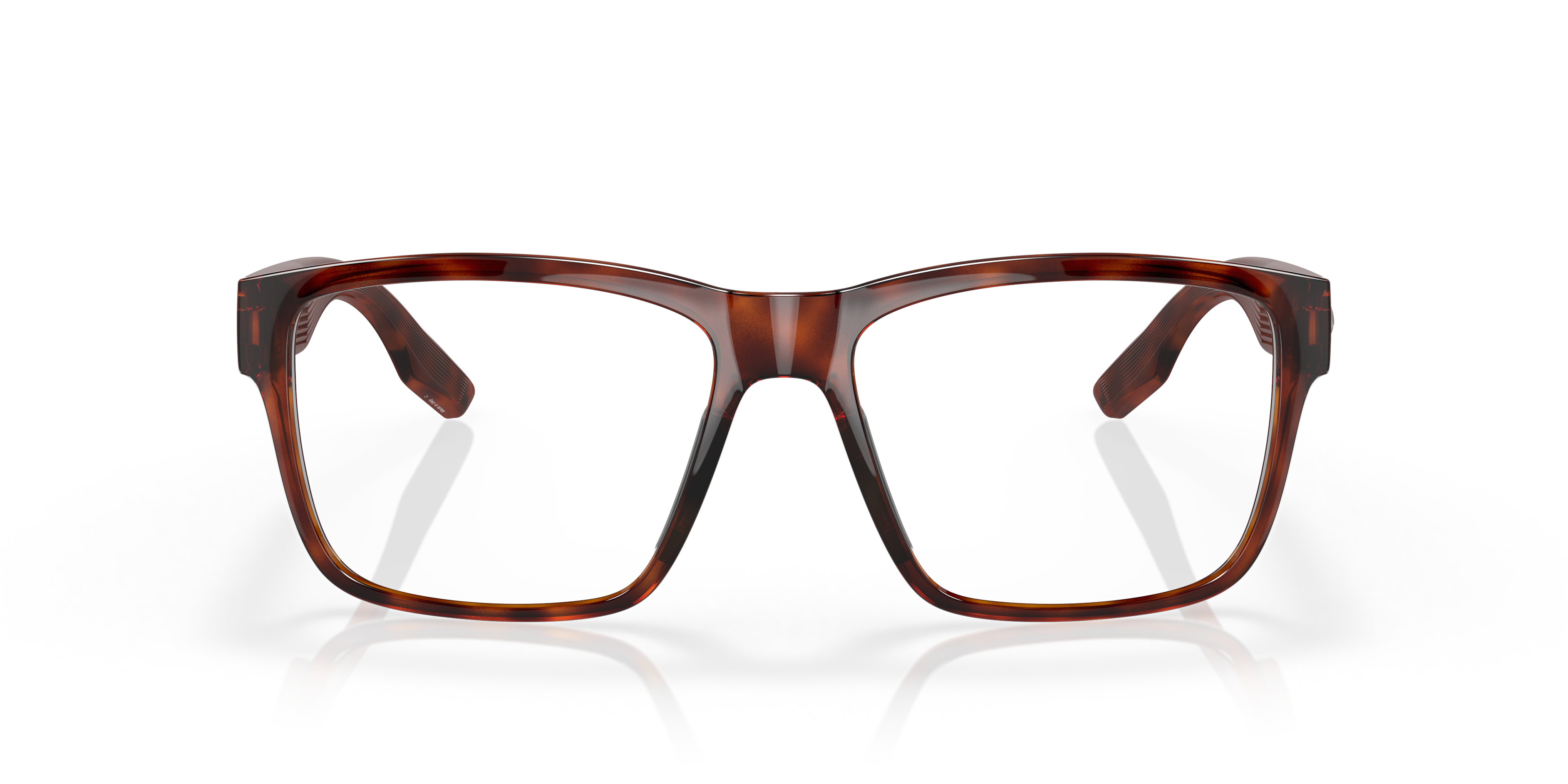 Costa - 6A9049V Paunch RX - Tortoise